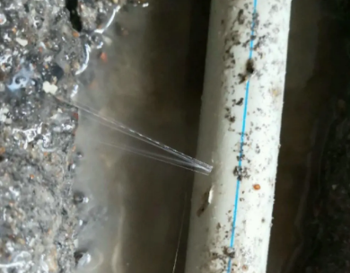 厦门市测漏水哪家好