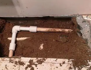 厦门市测漏水哪家好