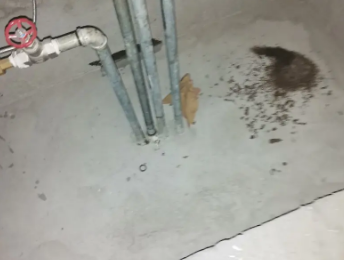 厦门市卫生间测漏水价格明细