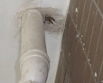 厦门市漏水检测哪家好